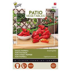 Foto van Buzzy - patio veggies, paprika snacking red