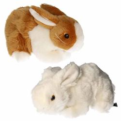 Foto van Setje van 2x stuks pluche knuffel konijnen van 20 cm - knuffel huisdieren