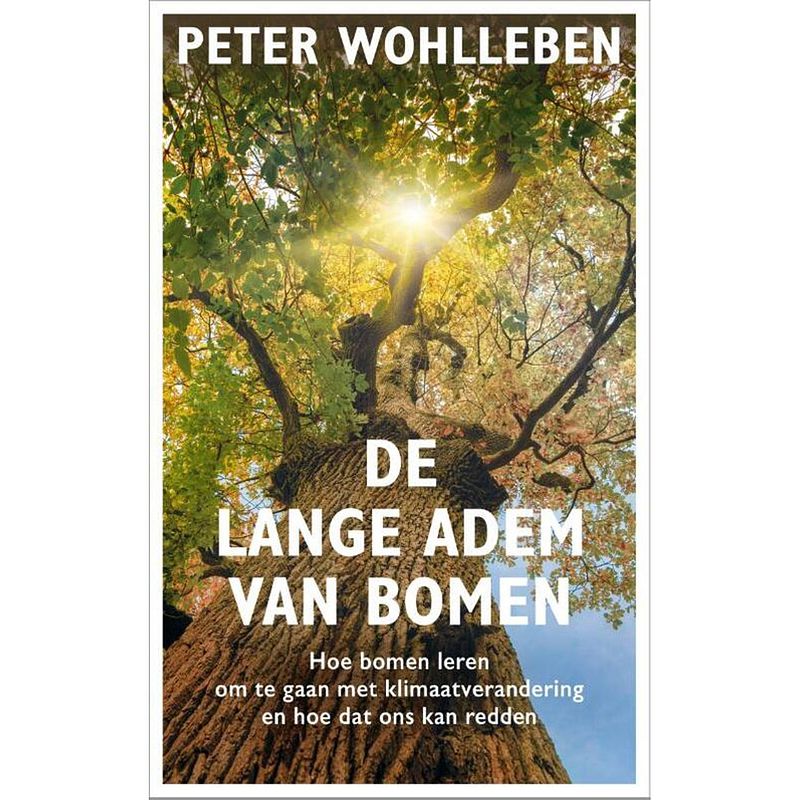 Foto van De lange adem van bomen