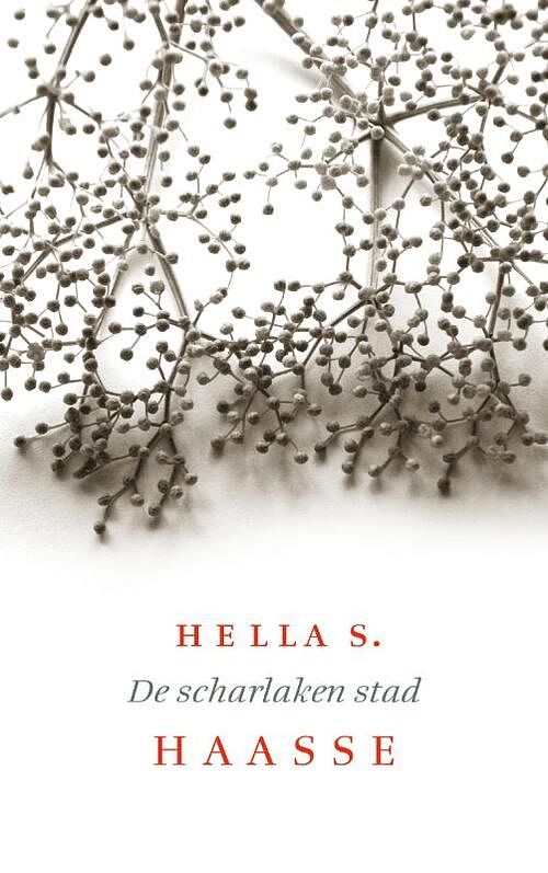 Foto van De scharlaken stad - hella s. haasse - ebook (9789021444451)