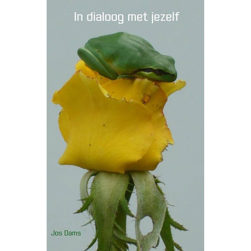 Foto van In dialoog met jezelf