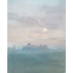 Foto van Fotobehang - hazy hush 200x250cm - vliesbehang