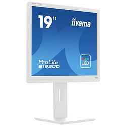 Foto van Iiyama prolite led-monitor 48.3 cm (19 inch) energielabel e (a - g) 1280 x 1024 pixel 5 ms vga, dvi tn led