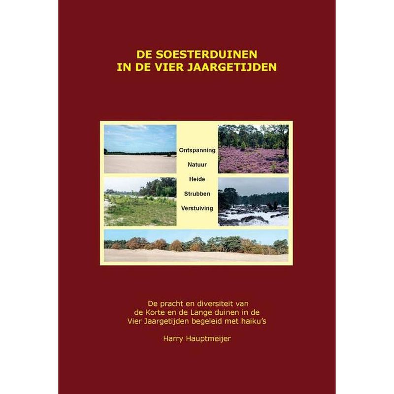 Foto van De soesterduinen in de vier jaargetijden