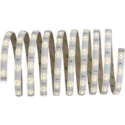 Foto van Paulmann yourled shrink 70510 led-strip complete set met connector (male) 12 v 3 m warmwit