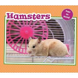 Foto van Hamsters - vertel maar