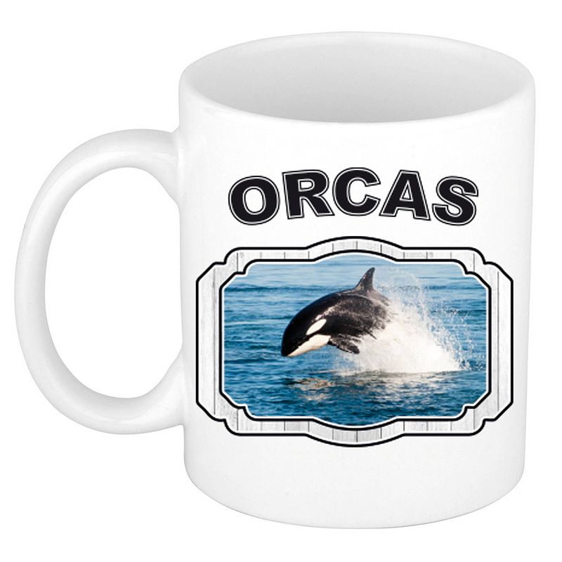 Foto van Dieren orka beker - orcas/ orka vissen mok wit 300 ml - feest mokken