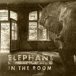 Foto van Elephant in the room - lp (4250444187133)