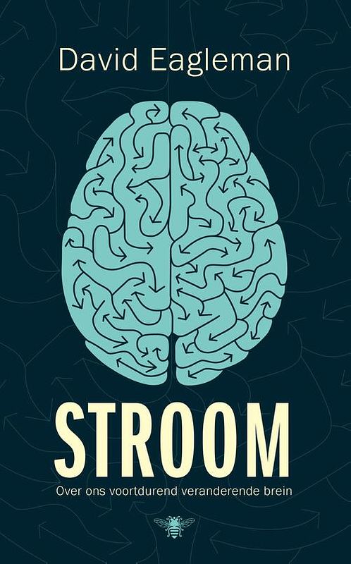 Foto van Stroom - david eagleman - ebook (9789403127316)