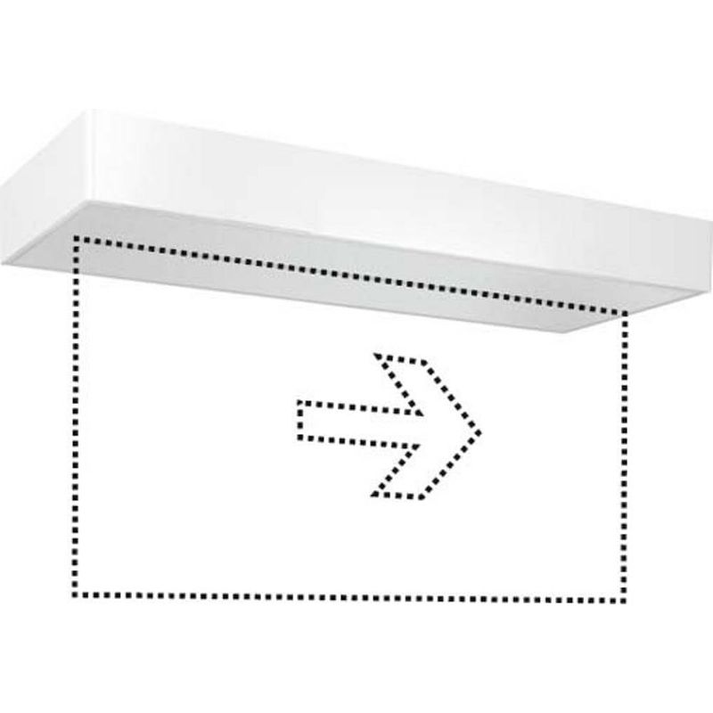 Foto van Esylux en10077319 vluchtwegverlichting plafondopbouwmontage rechts, links