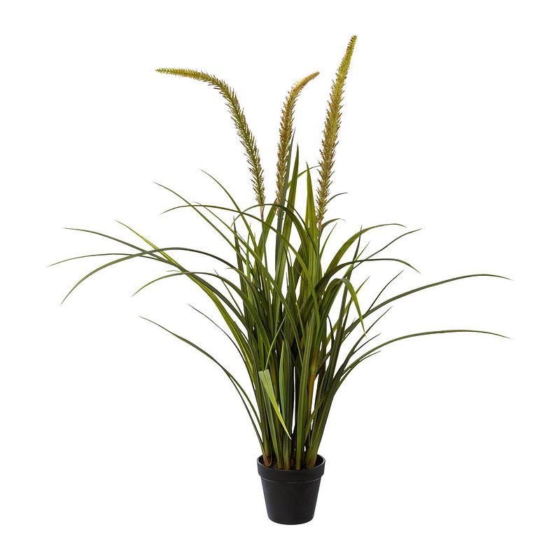 Foto van Kopu® kunstplant miscanthus 90 cm - 3 pluimen - in zwarte pot