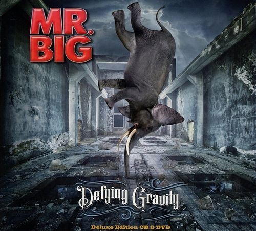 Foto van Defying gravity - cd (8024391080542)