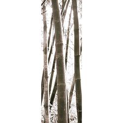 Foto van Douglas yan - bamboo grove iv kunstdruk 30x91cm