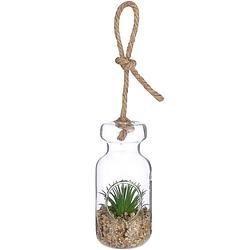 Foto van Mica decorations vetplant korte sprieten 13,5 x 6 cm beige/groen