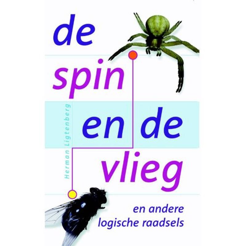 Foto van De spin en de vlieg