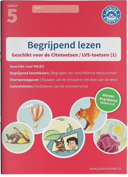 Foto van Begrijpend lezen - paperback (9789492265562)