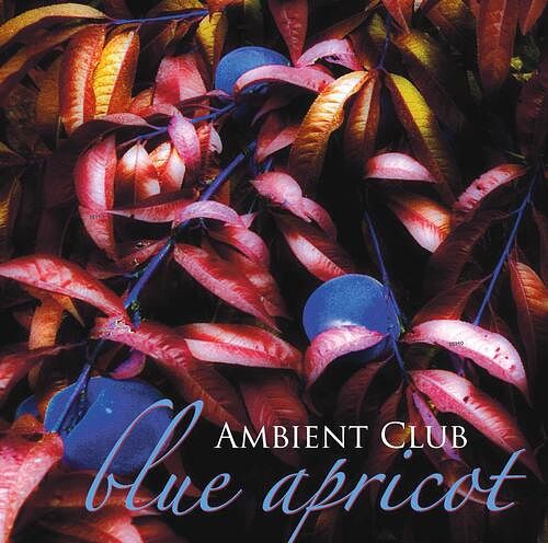 Foto van Blue apricot - cd (9006639105063)