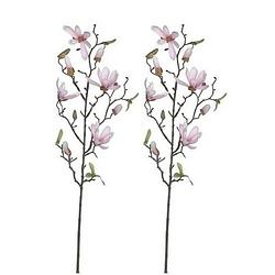 Foto van 2x magnolia beverboom kunstbloemen takken 80 cm decoratie - kunstplanten