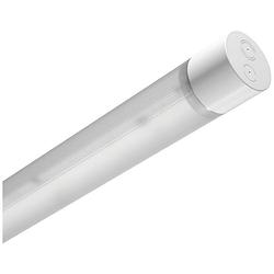 Foto van Trilux tugrahe led-lamp voor vochtige ruimte led led neutraalwit wit