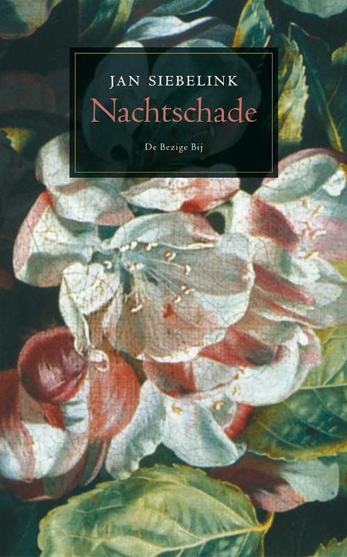 Foto van Nachtschade - jan siebelink - ebook (9789023449430)