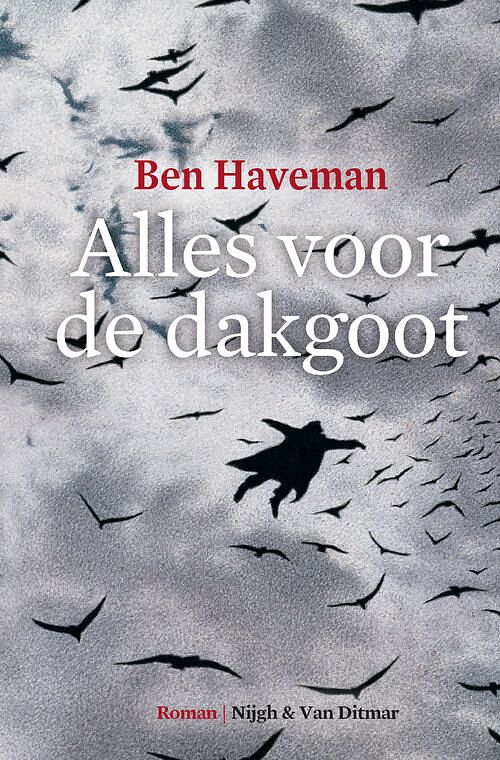 Foto van Alles voor de dakgoot - ben haveman - ebook (9789038894225)