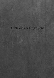 Foto van Grote zinloze grijze zone - damien de coene, quinten de coene - paperback (9789402143911)