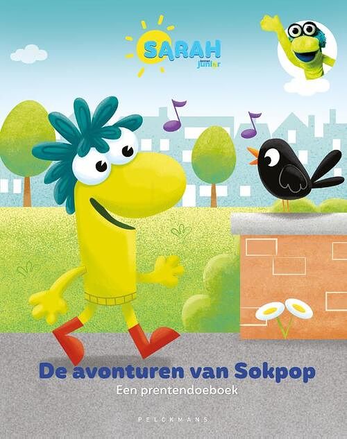 Foto van De avonturen van sokpop - hardcover (9789464019421)