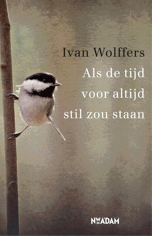 Foto van Als de tijd voor altijd stil zou staan - ivan wolffers - ebook (9789046817698)