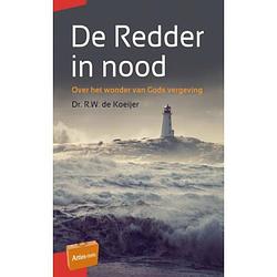 Foto van De redder in nood - artios-reeks