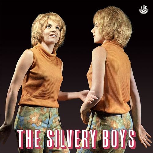 Foto van The silvery boys - lp (8435008863654)