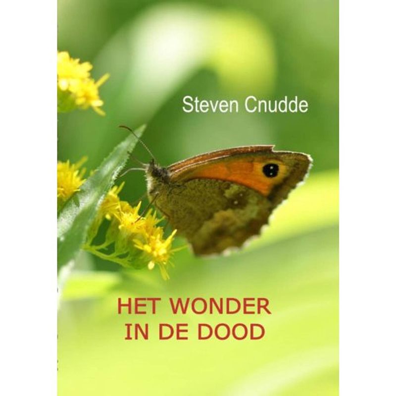 Foto van Het wonder in de dood