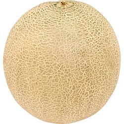 Foto van Jumbo cantaloupe meloen 1 stuk