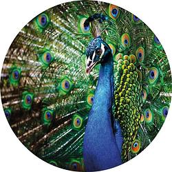 Foto van Wizard+genius beautiful peacock vlies fotobehang 140x140cm rond
