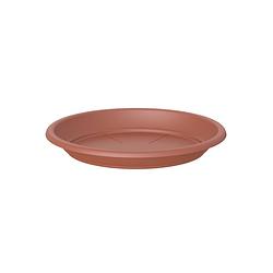 Foto van Schotel rond 35cm terracotta