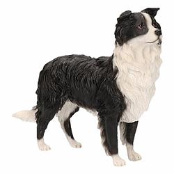 Foto van Beeldje border collie 14 cm - beeldjes