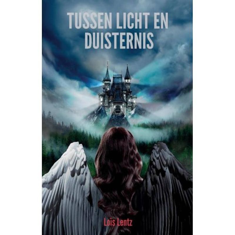 Foto van Tussen licht en duisternis