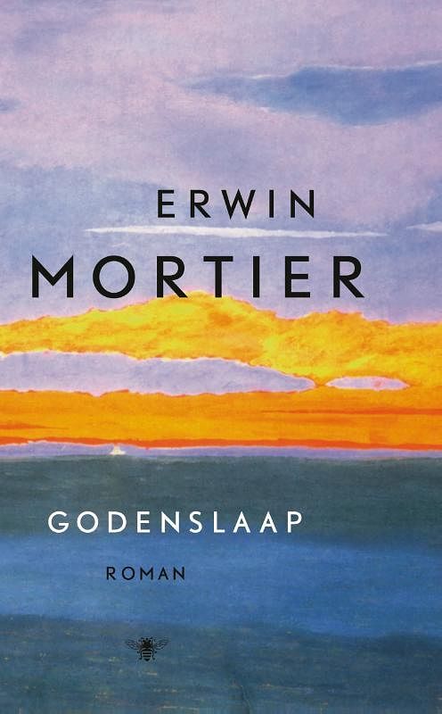 Foto van Godenslaap - erwin mortier - paperback (9789403160702)