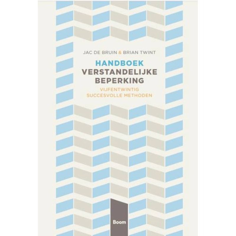 Foto van Handboek verstandelijke beperking