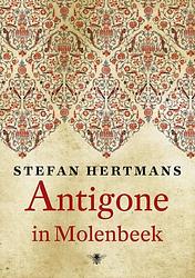 Foto van Antigone in molenbeek - stefan hertmans - ebook (9789023465683)