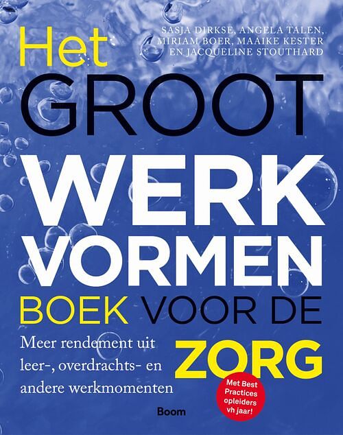 Foto van Het groot werkvormenboek voor de zorg - angela talen - ebook (9789024427499)