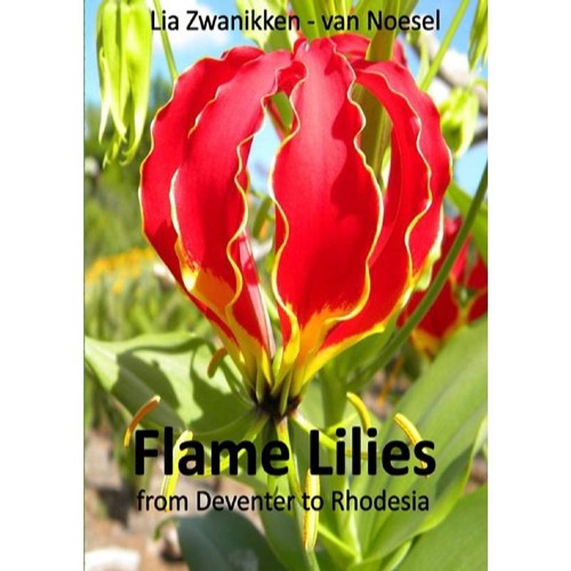 Foto van Flame lilies