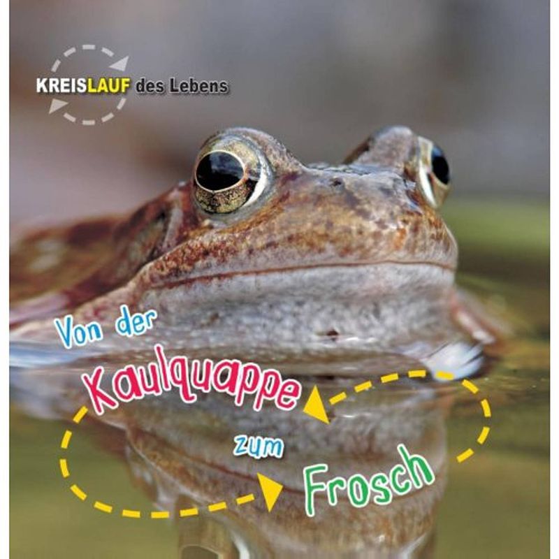 Foto van Von der kaulquappe zum frosch - kreislauf des