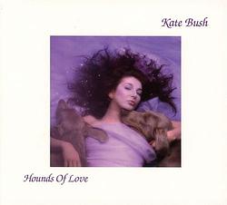 Foto van Hounds of love - cd (0190295568948)