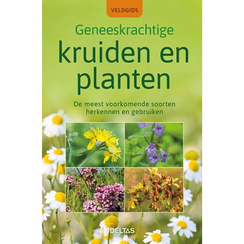 Foto van Veldgids - geneeskrachtige kruiden en planten