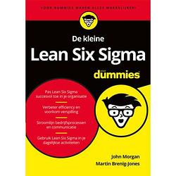 Foto van De kleine lean six sigma voor dummies - voor