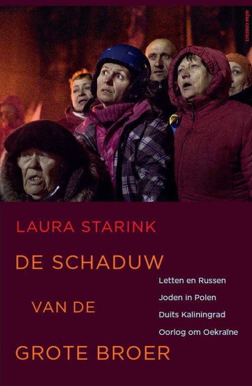 Foto van De schaduw van de grote broer - laura starink - ebook (9789045028132)