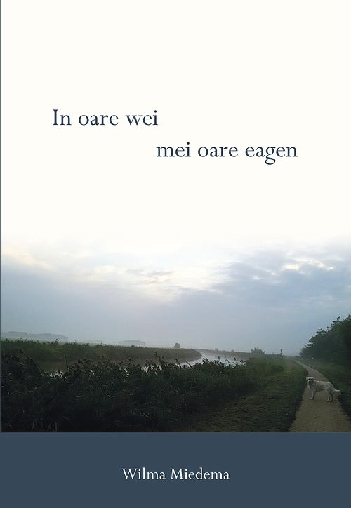 Foto van In oare wei - wilma miedema - ebook