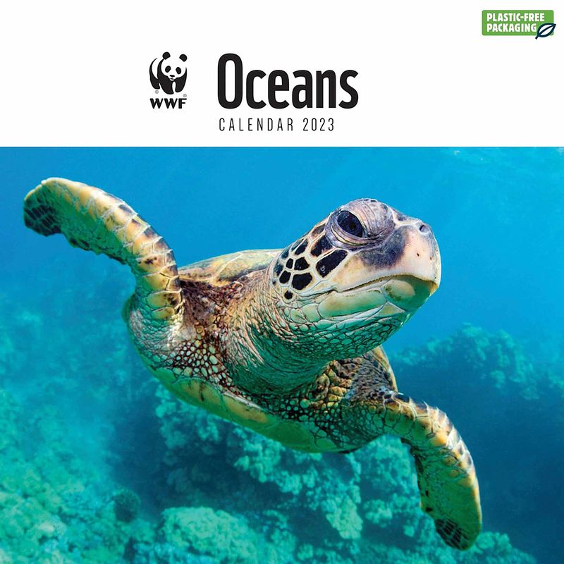 Foto van Oceans kalender 2023