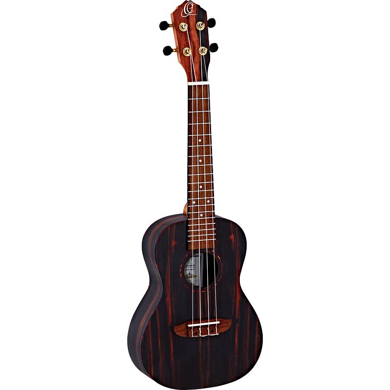 Foto van Ortega ebony series rueb-cc concert ukelele met gigbag