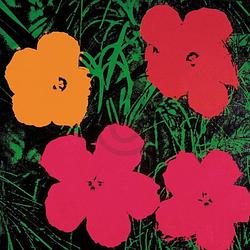 Foto van Andy warhol - flowers c. 1964 kunstdruk 60x60cm